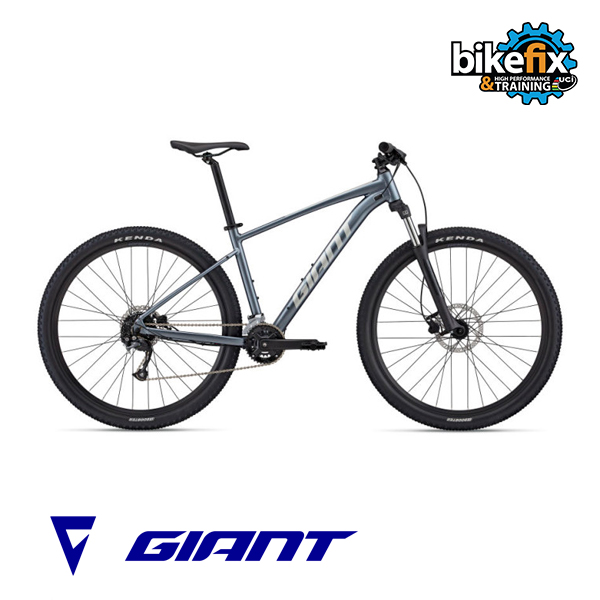 talon 1 29er