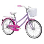 Bicicleta Infantil Oxford Cyclotour Aro 20 vista 2