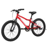 Bicicleta Infantil Oxford Drako Aro 20 vista 3