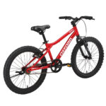 Bicicleta Infantil Oxford Drako Aro 20 vista 4