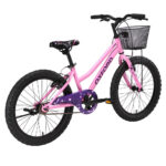 Bicicleta Infantil Oxford Luna Aro 20 vista 3