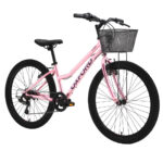 Bicicleta Infantil Oxford Luna Aro 24 vista 2