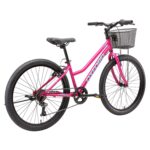 Bicicleta Infantil Oxford Luna Aro 24 vista 4