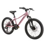 Bicicleta Infantil Oxford Luna Suspensión Aro 20 vista 2