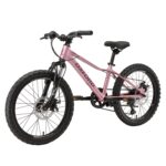 Bicicleta Infantil Oxford Luna Suspensión Aro 20 vista 3