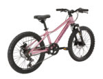 Bicicleta Infantil Oxford Luna Suspensión Aro 20 vista 4