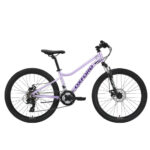 Bicicleta Infantil Oxford Luna Suspensión Aro 24