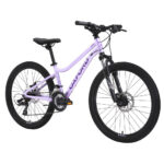 Bicicleta Infantil Oxford Luna Suspensión Aro 24 vista 2