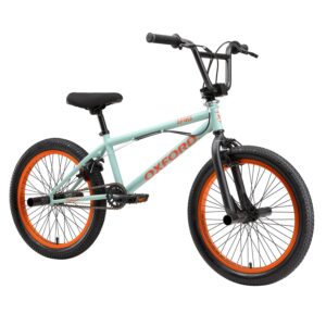 Bicicleta Infantil Oxford Spine Aro 20 vista 2