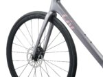 Bicicleta Liv LIV LANGMA ADVANCED 2-QOM vista 4