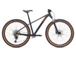 Bicicleta Liv LIV TEMPT 29 0