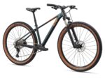 Bicicleta Liv LIV TEMPT 29 0 vista 2