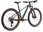 Bicicleta Liv LIV TEMPT 29 0 vista 3