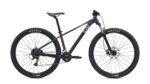 Bicicleta Liv LIV TEMPT 29 3