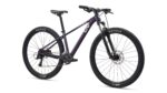 Bicicleta Liv LIV TEMPT 29 3 vista 2