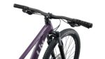 Bicicleta Liv LIV TEMPT 29 3 vista 3