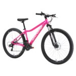 Bicicleta Oxford Aro 27.5 Himalaya 2027 vista 2
