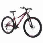 Bicicleta Oxford Aro 27.5 Jade vista 2