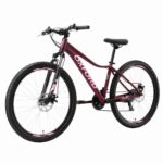 Bicicleta Oxford Aro 27.5 Jade vista 3