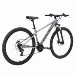 Bicicleta Oxford Aro 29 Everest vista 3