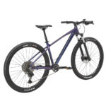 Bicicleta Oxford Aro 29 Orion 7 Serie Uno X vista 2