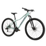 Bicicleta Oxford Aro 29 Venus 1 Verde vista 2