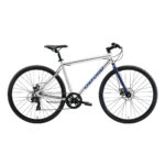 Bicicleta Oxford Aro 700 Citispeed Nickel