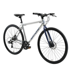 Bicicleta Oxford Aro 700 Citispeed Nickel vista 2