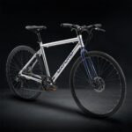 Bicicleta Oxford Aro 700 Citispeed Nickel vista 3